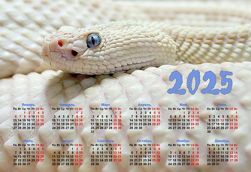 Печать календарей 2025 года
